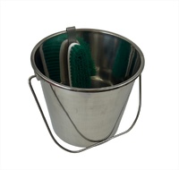 12L Bucket & Brush